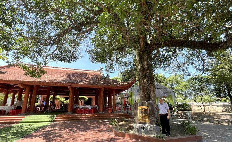 Cây[-]đầu[-]tiên[-]của[-]huyện[-]Nghi[-]Xuân[-]được[-]công[-]nhận[-]là[-]Cây[-]Di[-]sản[-]Việt[-]Nam